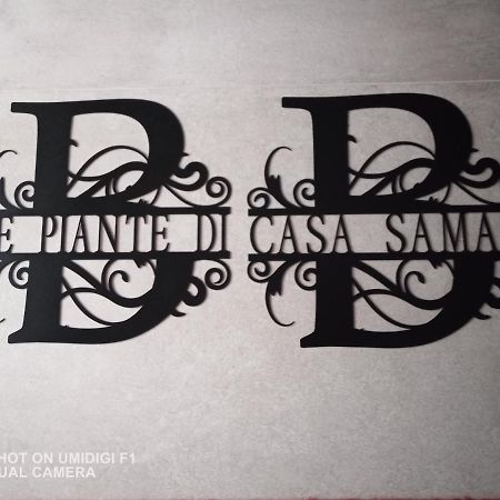 Le Piante Di Casa Samar Bed & Breakfast Castelguelfo ภายนอก รูปภาพ