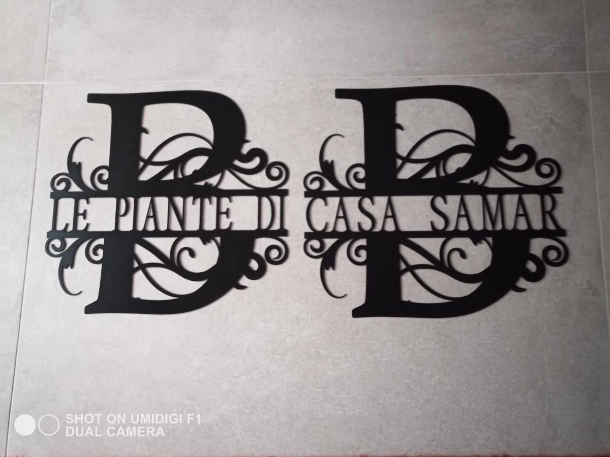 Le Piante Di Casa Samar Bed & Breakfast Castelguelfo ภายนอก รูปภาพ