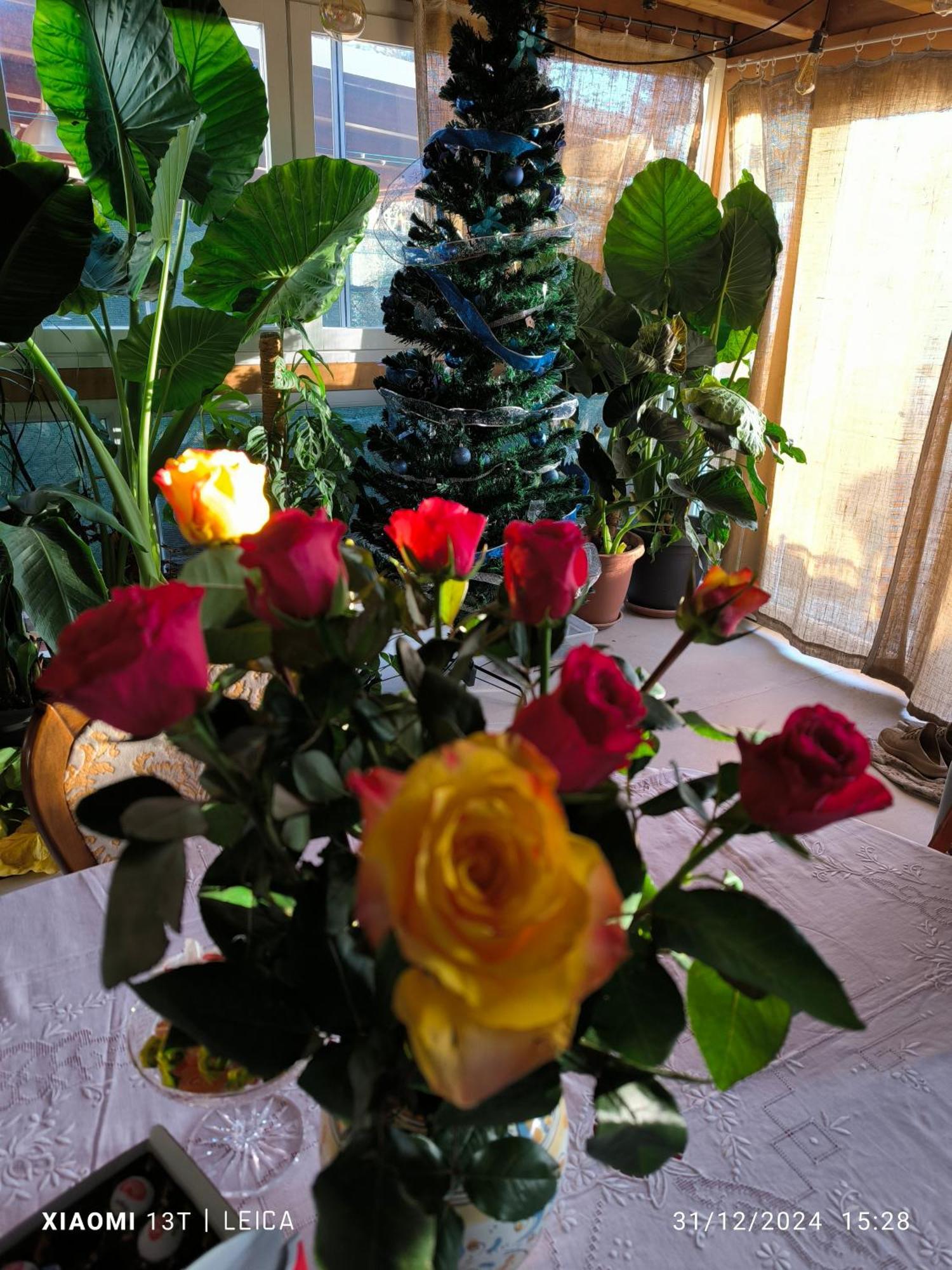 Le Piante Di Casa Samar Bed & Breakfast Castelguelfo ภายนอก รูปภาพ